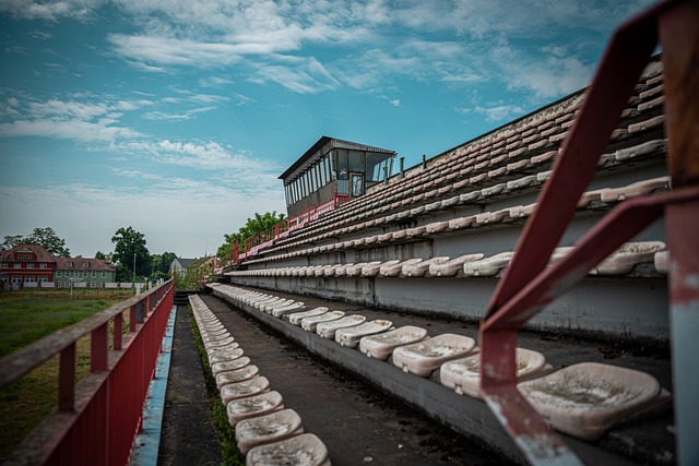 体育不仅是 体育不仅是