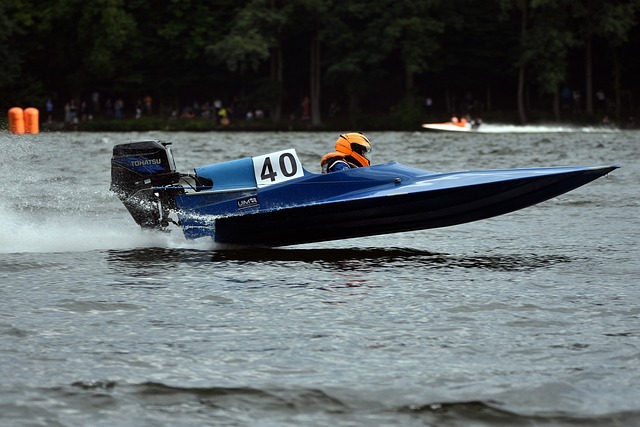 新队徽的轮 新队徽的轮