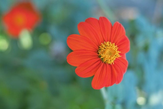 技術保障 技術保障