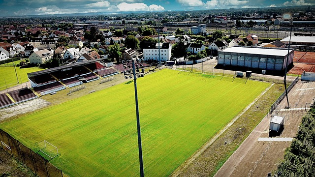 必然需要付 必然需要付