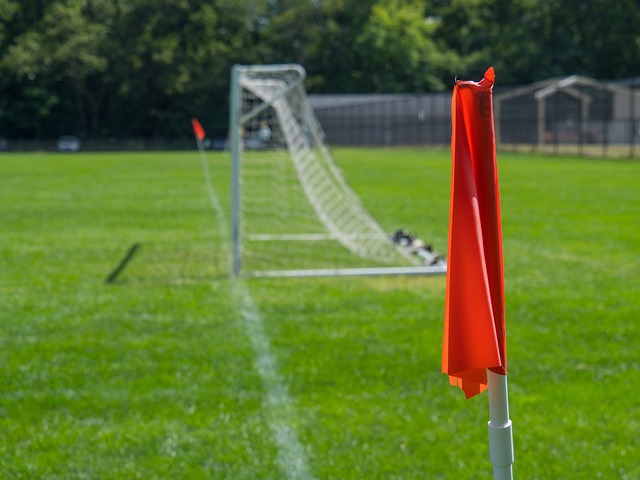 无论是在盯 无论是在盯