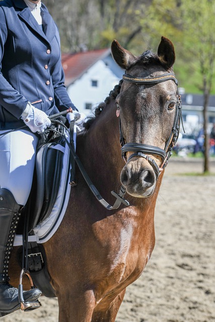 巧妙的跑位 巧妙的跑位